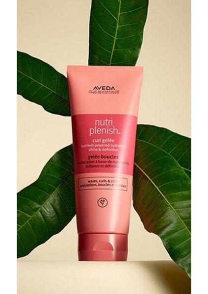 Nutriplenish Bukle Belirginleştirici Nemlendirici Jel Krem 200ML 18084031070 fırsatları