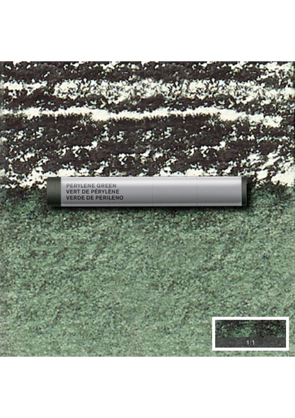 Professional Sulu Boya Çubuk Perylene Green 460 S.2