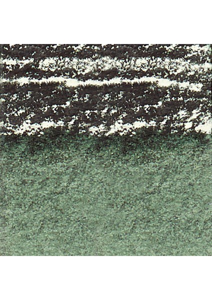 Professional Sulu Boya Çubuk Perylene Green 460 S.2 fiyatları