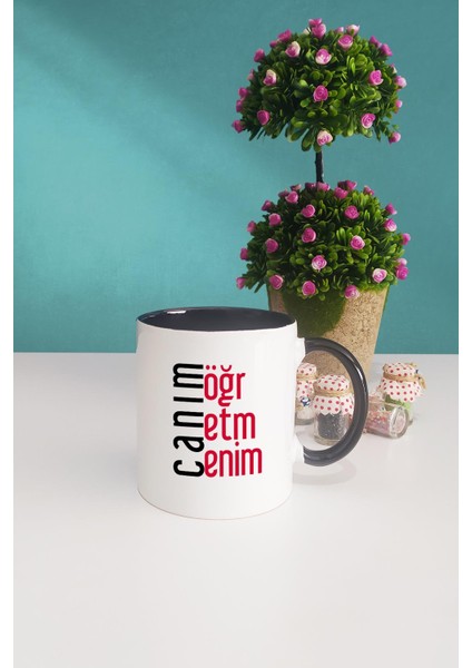 Öğretmene Hediye Canım Öğretmenim Siyah Kupa Bardak Kalemlik modelleri