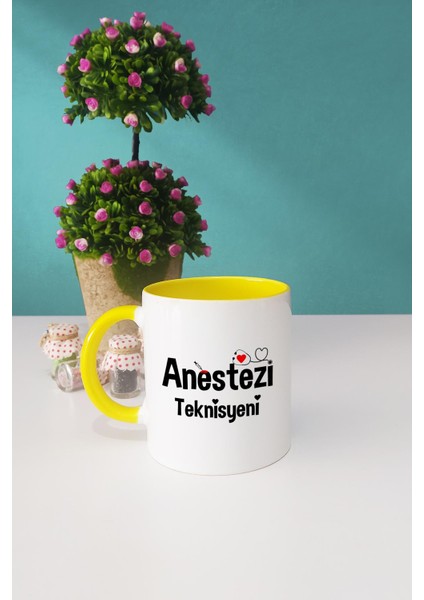 Anestezi Teknisyeni Hediye Sarı Kupa Bardak Kalemlik fiyatları