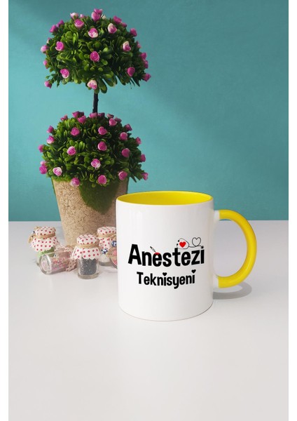 Anestezi Teknisyeni Hediye Sarı Kupa Bardak Kalemlik modelleri