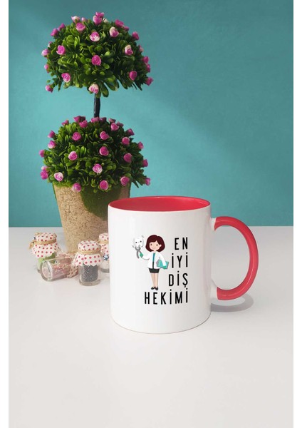 En Iyi Diş Hekimi Hediye Kırmızı Kupa Bardak Kalemlik modelleri