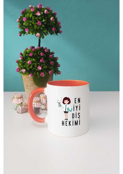 En Iyi Diş Hekimi Hediye Turuncu Kupa Bardak Kalemlik modelleri
