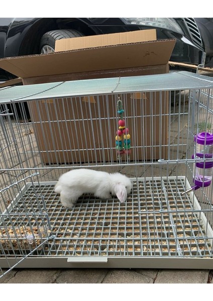 50X50 Ölçü Plastik Tavşan Kafesi Taban Izgarası [1 Adet] modelleri