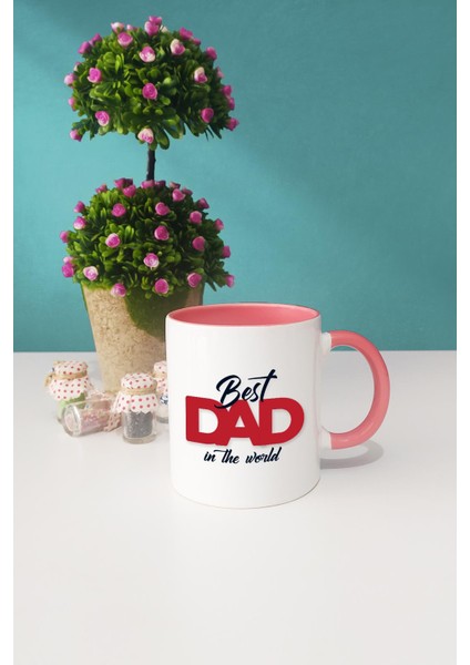 Best Dad In The World Babaya Hediye Pembe Kupa Bardak Kalemlik Anahtarlık