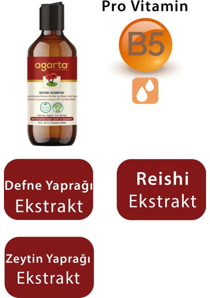 Doğal Şampuan Reishi 400 ml 3 Adet