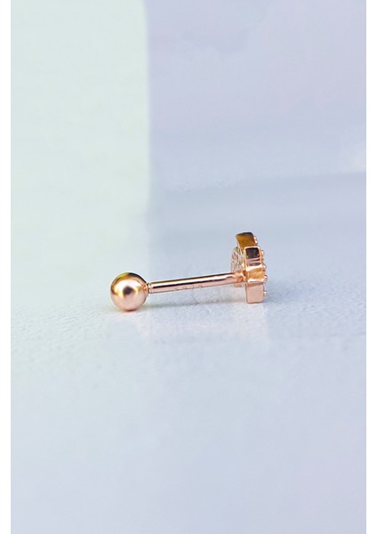 Ithal Aries Gümüş Piercing Küpe fiyatları