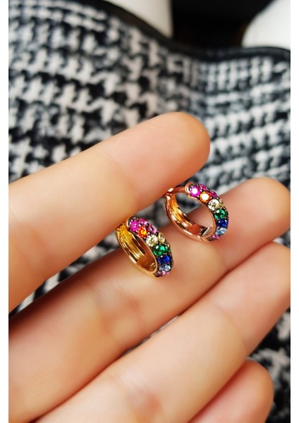 Tekli Renkli Taşlı Italyan Rose Kaplama Gümüş Küpe fiyatları