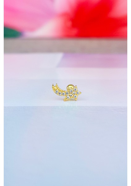 Ithal Aries Gümüş Piercing Küpe