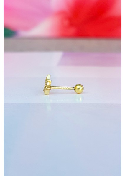 Ithal Aries Gümüş Piercing Küpe