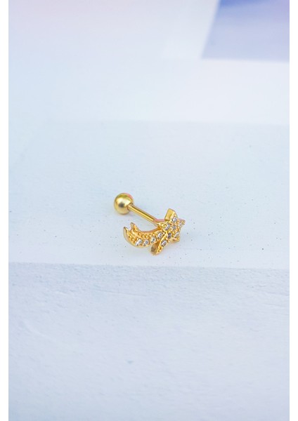 Ithal Aries Gümüş Piercing Küpe