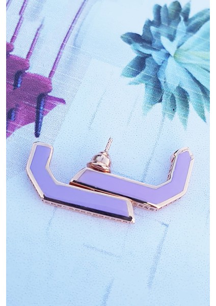 Tekli Ön & Arka Taraflı Taşlı Mineli Gümüş Küpe fiyatları