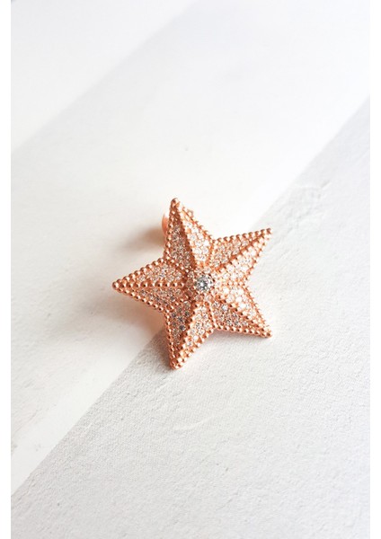 Tekli Star Gümüş Küpe