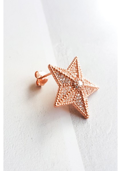 Tekli Star Gümüş Küpe modelleri