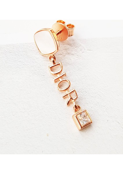 Tekli Ithal D Taşlı Gümüş Küpe