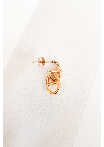 Tekli, Minimal Kilit Gümüş Rose Küpe