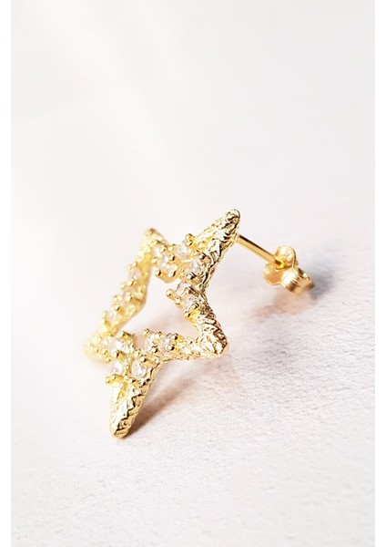 Tekli N-Yıldızlı Taşlı Gümüş Küpe modelleri