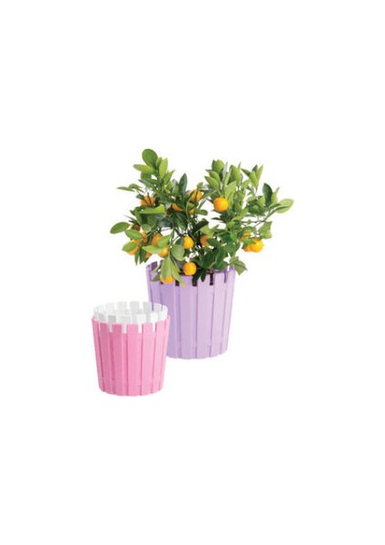 Akasya Çit Model Renkli Saksı 20CM 5 Adet