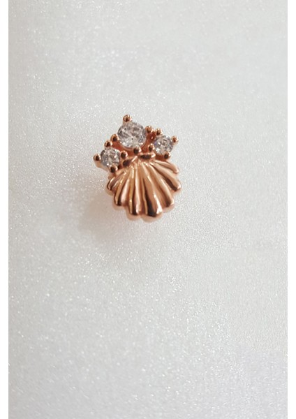 Tekli Taş Detaylı Deniz Kabuğu Gümüş Küpe fiyatları