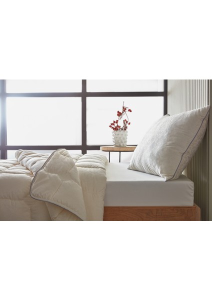 Conform Lux Yastık 50 x 70 cm - Krem