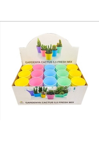 Gardenya Kaktüs Saksısı 90 'lı