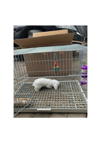 Özel Ölçü Talep Edebilirsiniz, (Plastik Tavşan Kafesi Taban Izgarası) (Siyah)