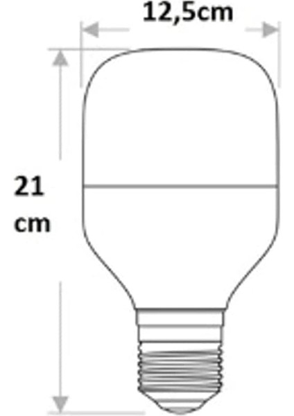 CT-4262 50W/3200K LED Ampul (Günışığı)