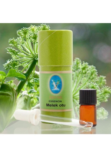 Melek Otu 1 ml