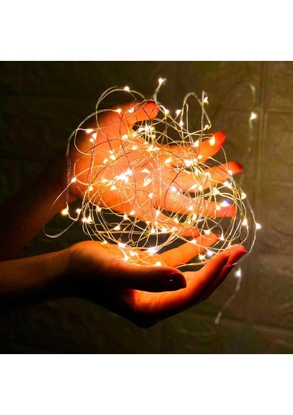 Yılbaşı Çam Ağacı Işığı 10 Metre Gün Işığı LED Işık Gün Işığı Pilli LED Işık Micro Parlak Canlı LED Işıklı