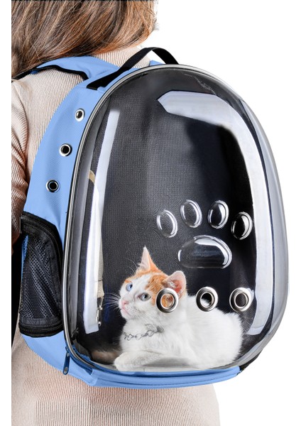 Kedi Taşıma Çantası Siyah El ve Sırt Çantası 9hava Kanalı Kedi Taşıma Çantası File Kedi Taşıma Çantası Astronot