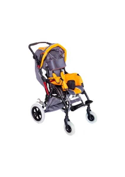 DM-8001 Buggy 40 cm Turuncu Engelli Puseti