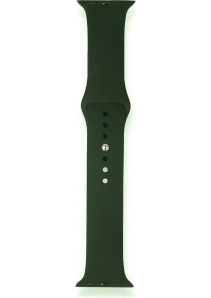 Fitcase Apple Watch Klasik 38MM / 40MM Silikon Kordon