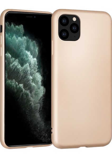 iPhone 11 Pro Kılıf Fitcase Premiums Silikon Arka Kapak