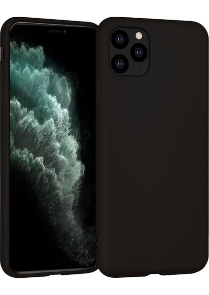 iPhone 11 Kılıf Fitcase Premiums Silikon Arka Kapak