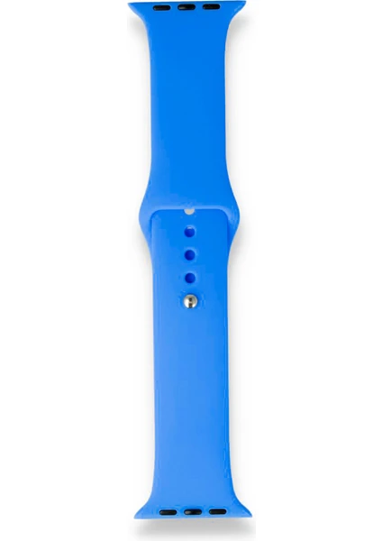 Fitcase Apple Watch Klasik 38MM / 40MM Silikon Kordon