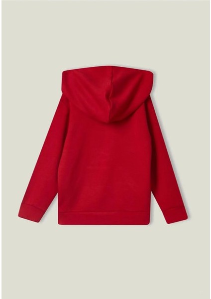 Erkek Sweatshirt BNT-M20093 BNT-M20093003 fiyatları