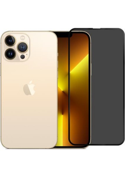 Hayalet Cam Ekran Koruyucu Iphone 13 Pro Max Uyumlu