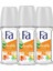 Freshly Free Salatalık & Kavun Roll-On x 3 Adet 1