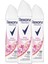 Kadın Sprey Deodorant Sexy Bouquet 150 ml X3 Adet 2