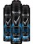 Men Temel Koruma Active Fresh Erkek Sprey Deodorant Cobalt 150 ml X3 Adet 2