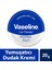 Lip Therapy Yumuşatıcı Dudak Kremi Original 20 G 1