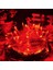 Christmas Tree Red LED Light 10 Metre Kırmızı LED Işık Kırmızı Yılbaşı Ağacı Işığı Kırmızı Ip LED Işık 220V Fişli 100 Canlı LED 1