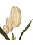 Salvia Hasır Duvar Tabağı _ 30 cm 1