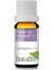 Paçuli Yağı 10 ml 1