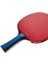 Tımo Boll Gold Masa Tenisi Raketi Itf 5