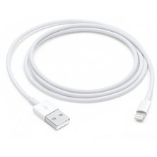 Apple Usb-C - Lightning Kablosu (1metre)