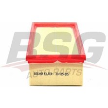 Bsg 30-135-015 Hava Filtresi
