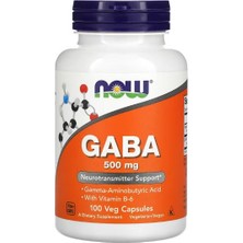 Now Foods, Gaba With Vitamin B-6, 500 Mg, 100 Vegi Kapsül