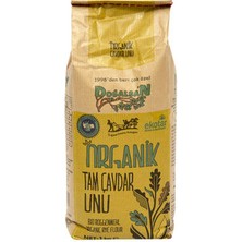 Doğalsan Organik Tam Çavdar Unu 1000 G